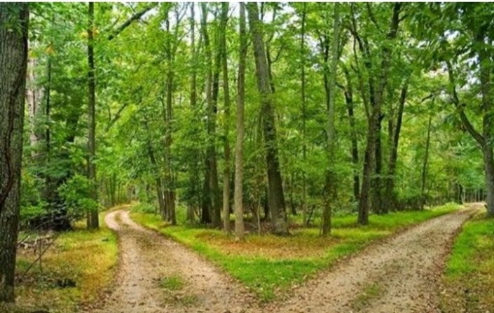 Screenshot_20250115-182814_google